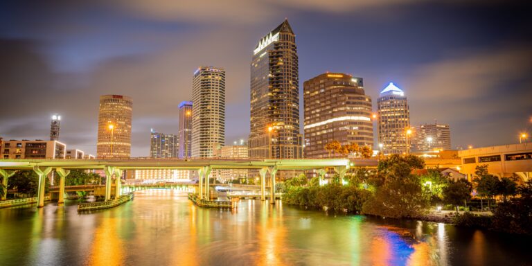 skyline downtown tampa hillsborough river night blue sky